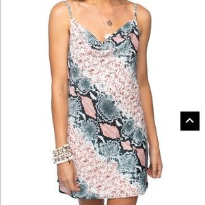 BuddyLove Celine serpent